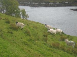 Fotografija 3 - Muzej o lokalnem prebivalstvu